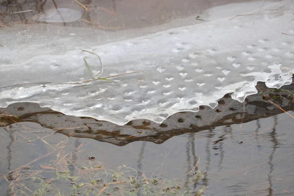 Abstract Nauwe Gedetailleerde Weergave Van Een Dun Laagje Ijs Zweefde — Stockfoto