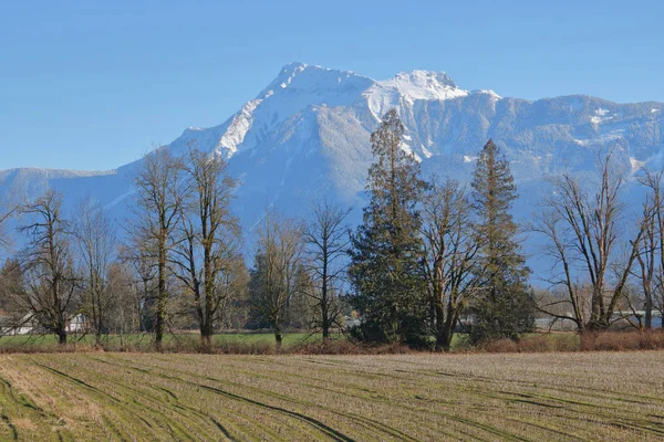 Veduta Paesaggistica Terreni Agricoli Coltivati Fronte Una Montagna Torreggiante Sulla — Foto Stock