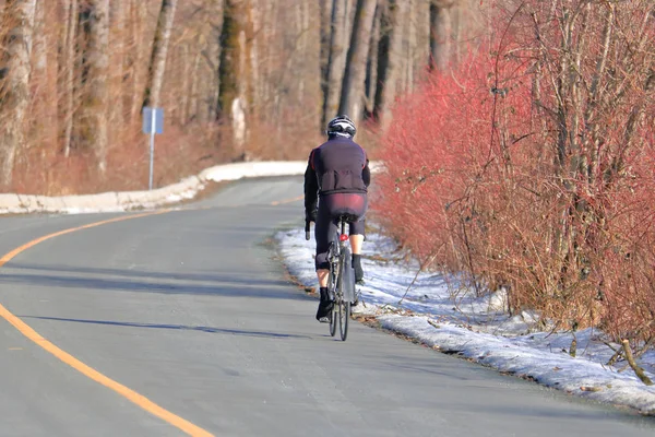 在冬季弯弯曲曲的乡村公路上训练的专业自行车运动员的逆向观点 — 图库照片