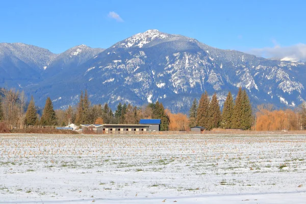 Rural Mountain Valley Landscape Cold Winter Months Harvested Cornfield Foreground — Stock Photo, Image