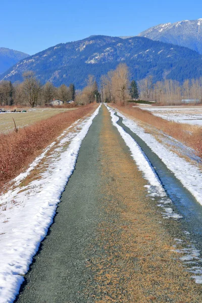 Vertikale Ansicht Eines Winterdeiches Der Gebaut Wurde Landwirtschaftliche Flächen Vor — Stockfoto