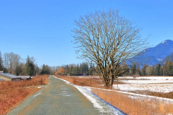 Terres Agricoles Disséquées Par Une Digue Élevée Qui Appartient Conjointement — Photo