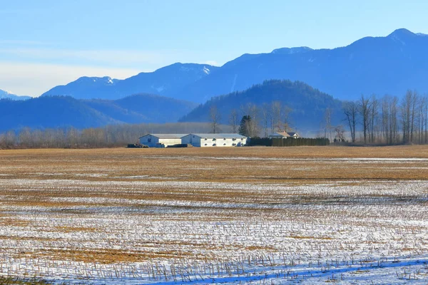 Ampla Vista Paisagem Uma Área Agrícola Durante Meses Inverno Cobertura — Fotografia de Stock