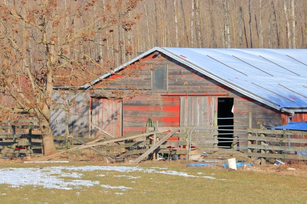 Old Pioneer Shed Still Stands Farmland Still Useful Generations — Stock Photo, Image