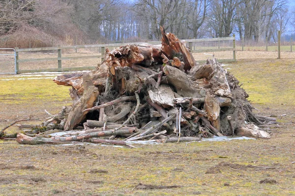 Large Pile Debris Collected Rural Area Severe Winter Storms — Stock Photo, Image