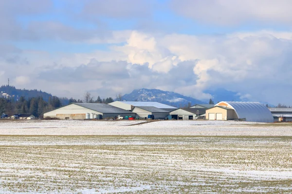 Färsk Täcke Snö Den Tidiga Våren Täcker Vidöppen Arealen Rural — Stockfoto