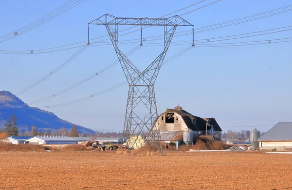 Nerede Bir Büyük Elektrik Elektrik Şebekesi Aracılığıyla Bir Çiftlik Bir — Stok fotoğraf
