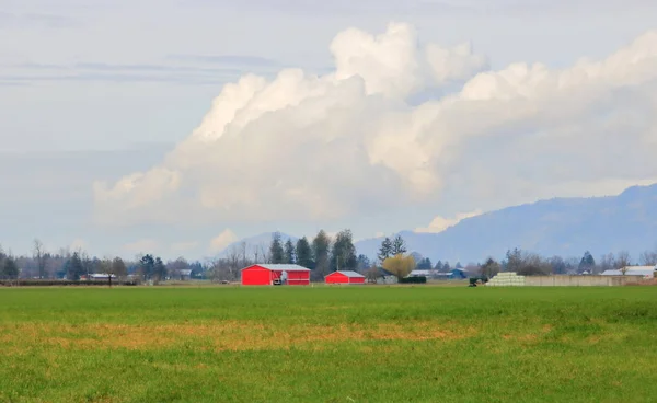 Paisaje Rural Con Edificios Granjas Rojas Nubes Cúmulos Que Ondean —  Fotos de Stock