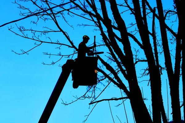 Silhouette Eines Landschaftsgärtners Der Einem Erhöhten Eimer Steht Und Mit — Stockfoto