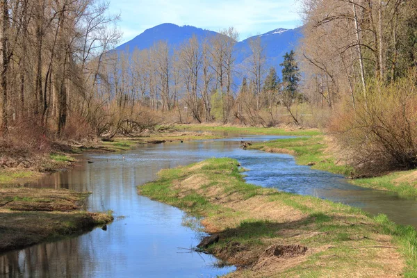 当初春的时候 在蜿蜒的山谷小溪上 颜色开始出现 一条沉闷的 没有生命的冬季河流正在迅速转变 — 图库照片