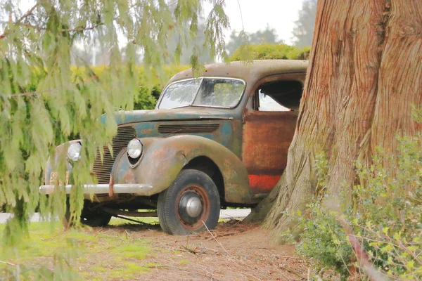 Carro Vintage Mas Abandonado Fica Negligenciado Danificado Atrás Uma Árvore — Fotografia de Stock