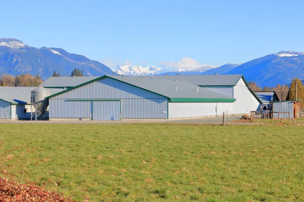 Wide View Various Modern Farm Buildings Constructed Sturdy Metal Sheeting — Stock Photo, Image