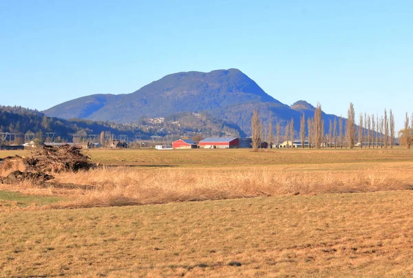 Szeroki Widok Suchej Peeling Ziemi Wiejskiej Scenerii Vedder Mountain Pobliżu — Zdjęcie stockowe