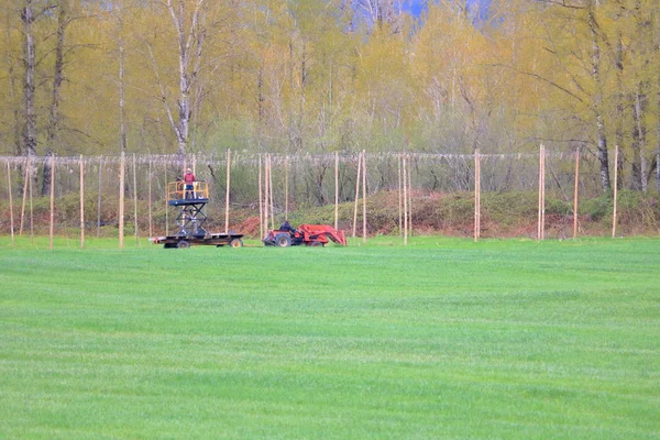 Hop Boeren Hoofd Het Veld Repareren Monteren Lijnen Gebruikt Voor — Stockfoto