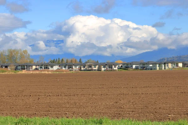 Bred Landskaps Bild Jordbruks Mark Utkanten Stads Utveckling Och Inkräktar — Stockfoto