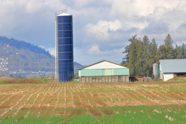 Sebuah Silo Tinggi Sempit Berdiri Samping Sebuah Bangunan Pertanian Kayu — Stok Foto