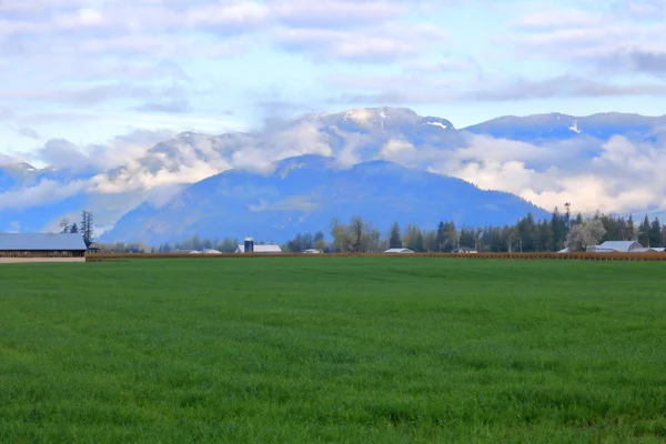 Panorama Prato Mattutino Circondato Dolci Colline Una Lussureggiante Vallata Coperta — Foto Stock