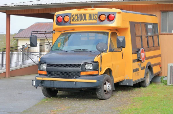 Vue Profil Des Trois Quarts Petit Autobus Scolaire Rural Conçu — Photo