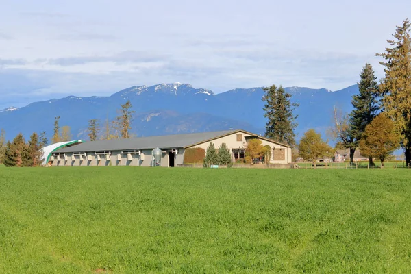 Bred Landskapsutsikt Över Fjäderfäfarm Och Modern Byggnad Belägen Dal — Stockfoto