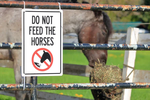 Nsanlardan Atları Beslememelerini Isteyen Bir Tabelanın Yakın Görünümü — Stok fotoğraf