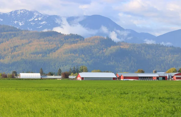 Ampla Paisagem Rural Aberta Uma Vista Das Terras Agrícolas Pastagens — Fotografia de Stock