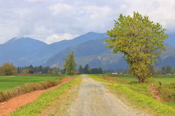 Wide Landscape View Valley Trail Winding Agricultural Land Spring Season — 스톡 사진