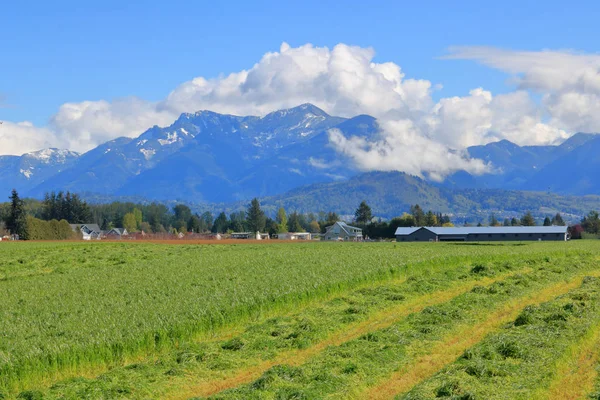 Ampia Vista Sul Prato Primaverile Una Valle Dopo Essere Stato — Foto Stock