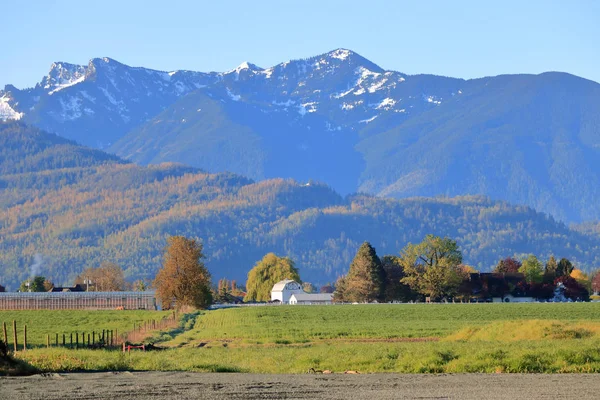 Údolí Fraser Kanada Bílá Stodola Budovy Obklopené Krásnou Horskou Krajinou — Stock fotografie
