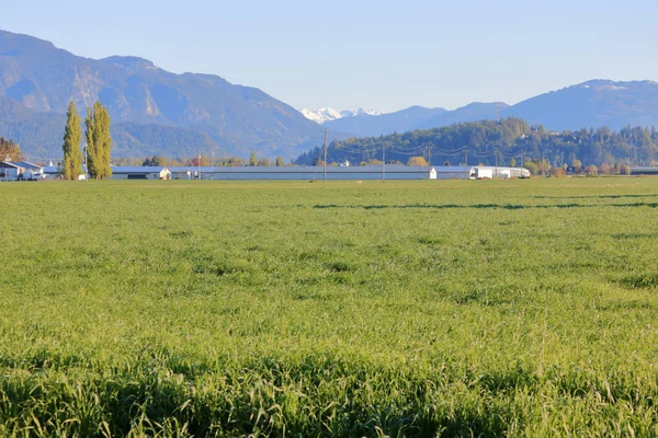 Ett Brett Öppet Landsbygdslandskap Nära Gård Där Boskap Tillverkas Och — Stockfoto