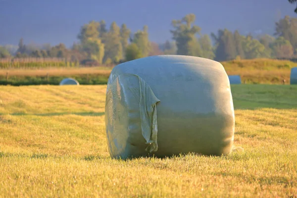 Close Detailed View Hay Bale Laying Harvested Field Grass Amount — Stock Photo, Image