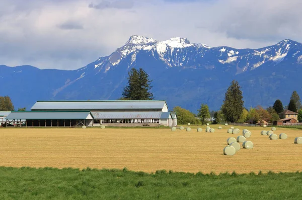 Landscape View Farm Surrounded Towering Snow Capped Mountains British Columbia — Stock Photo, Image