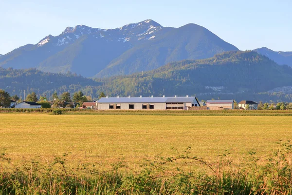 Wide View Farm Buildings Including Equipment Shed Livestock Building Home — Stock Photo, Image