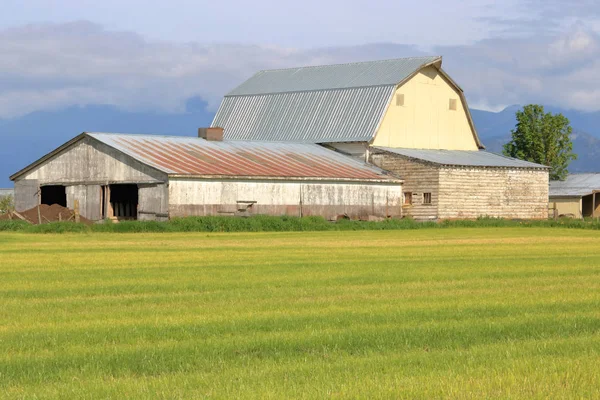 Rustic Old Still Functional Farm Buildings Surrounded Freshly Cut Grassland — Stock Photo, Image