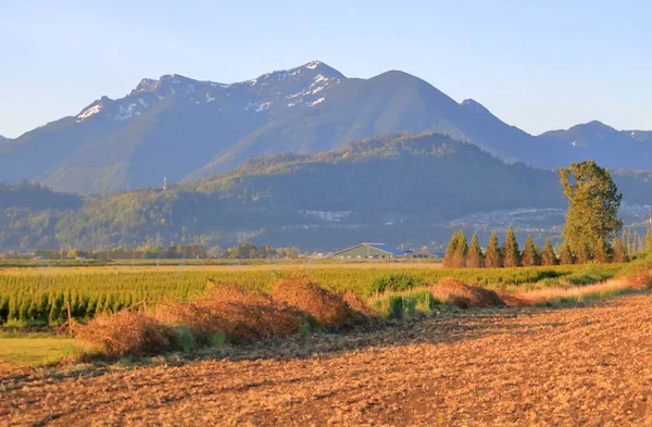 Variëteit Overvloedige Een Breed Landschap Uitzicht Landbouwgrond British Columbia Canada — Stockfoto