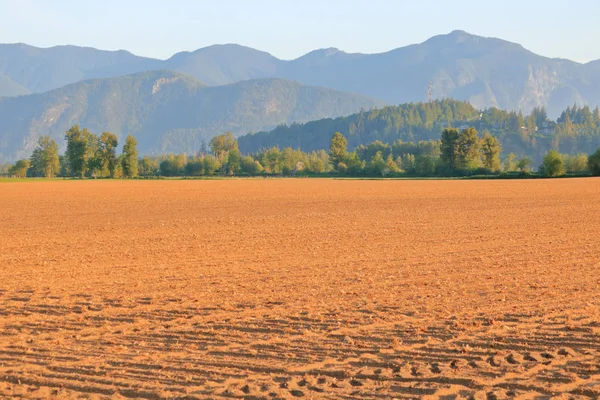 Ricca Generosa Ampia Veduta Del Paesaggio Dei Terreni Agricoli Nella — Foto Stock