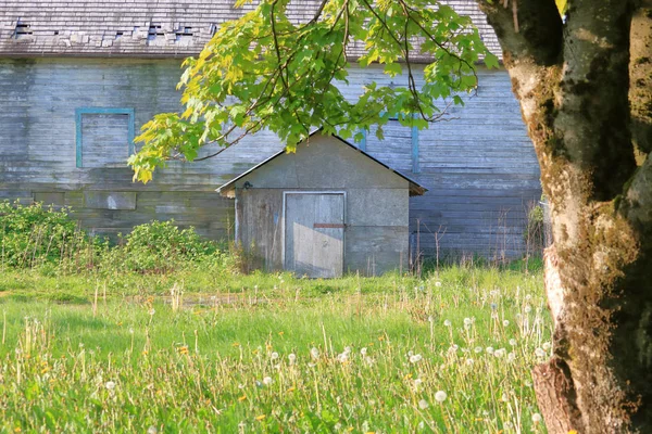 Vooraanzicht Van Een Oude Rustieke Houten Schuur Architectuur Met Een — Stockfoto