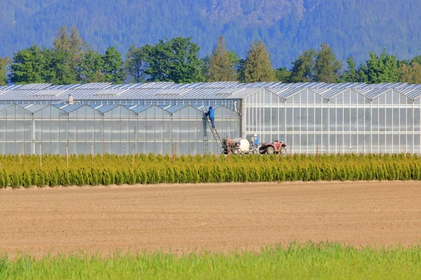 温室の広い視野と外部ガラスをきれいにするために必要な広範な作業 — ストック写真