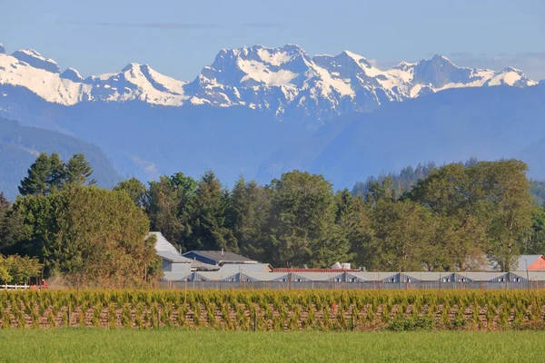 Landschaft Blick Auf Eine Vielzahl Von Landwirtschaftlichen Unternehmen Vor Schönen — Stockfoto