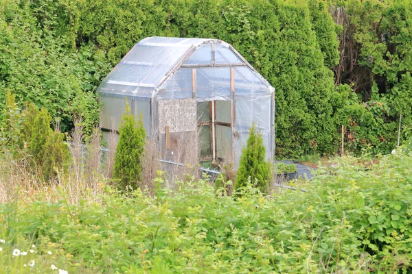 庭用品や備品の保管に使用される基本的な自家製の庭小屋の全景 — ストック写真