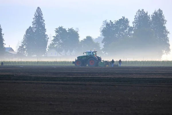 Early Morning Mist Rises Agricultural Field Farm Workers Prepare Day — Stock Photo, Image
