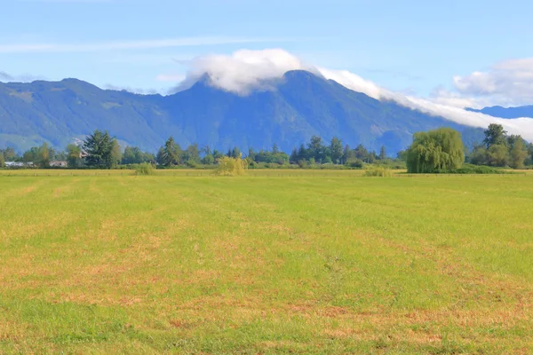 Des Nuages Couronnent Les Sommets Deux Montagnes Près Agassiz Colombie — Photo