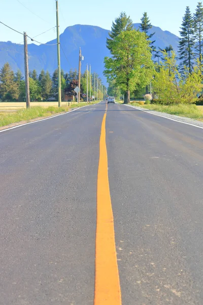 Low Angle Vertical View Freshly Painted Solid Yellow Line Rural — Stock Photo, Image