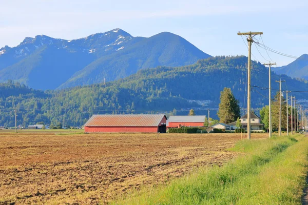 Dobře Ustavena Farma Pod Horou Sumas Jižní Britské Kolumbii Kanadě — Stock fotografie