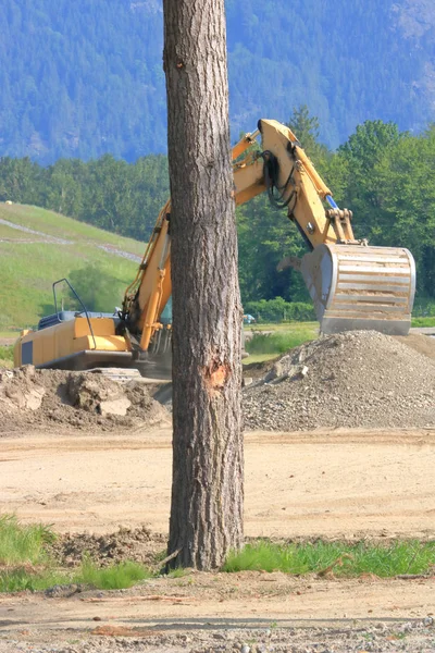 Sviluppo Urbano Costruzione Albero Rimasto Come Pala Costruzione Muove Terra — Foto Stock