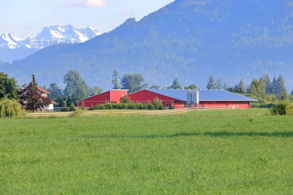 Vue Une Grange Rouge Moderne Debout Sur Tapis Prairies Verdoyantes — Photo