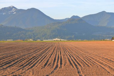 A mountain range overlooks rich agricultural land during the spring season and seeding is underway.  clipart