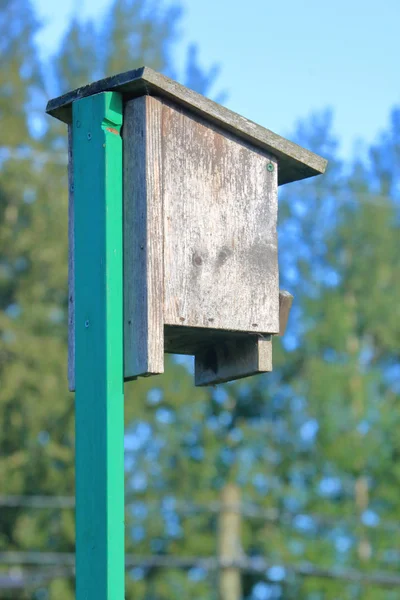 ツバメ用に設計され 野鳥が昆虫の個体群を制御するのに役立つ農作物の近くに取り付けられた自家製の鳥小屋の近くと詳細なプロファイルビュー — ストック写真
