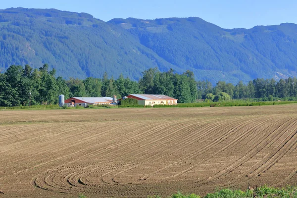 Paysage Vallée Rural Lorsque Les Champs Ont Été Plantés Pendant — Photo