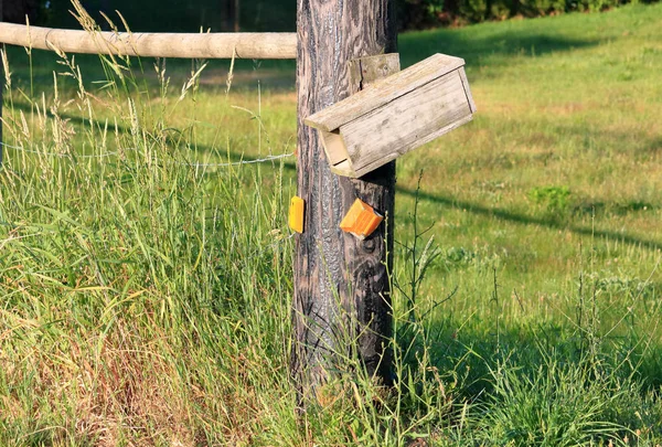 Medium View Very Simple Basic Wooden Rural Mailbox Fastened Fence — Stock Photo, Image