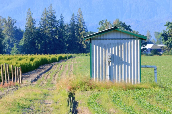 Pandangan Dekat Tentang Modern Irigasi Pertanian Stasiun Pompa Menyediakan Air — Stok Foto
